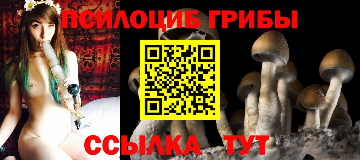 Псилоцибиновые грибы Cubensis  Рязань 